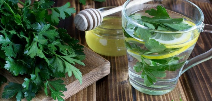 une infusion de persil pour un ventre plat