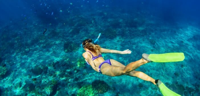 Brûler plus de calories grâce à l'aqua palmes