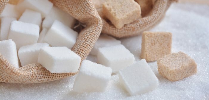Comment faire pour avoir une alimentation sans sucre et une perte de poids