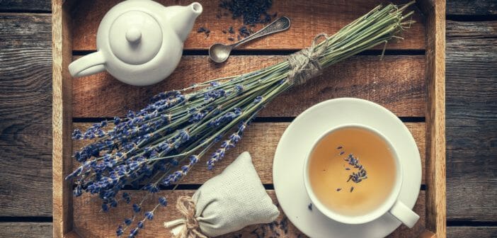 Du thé ou de la tisane pour maigrir