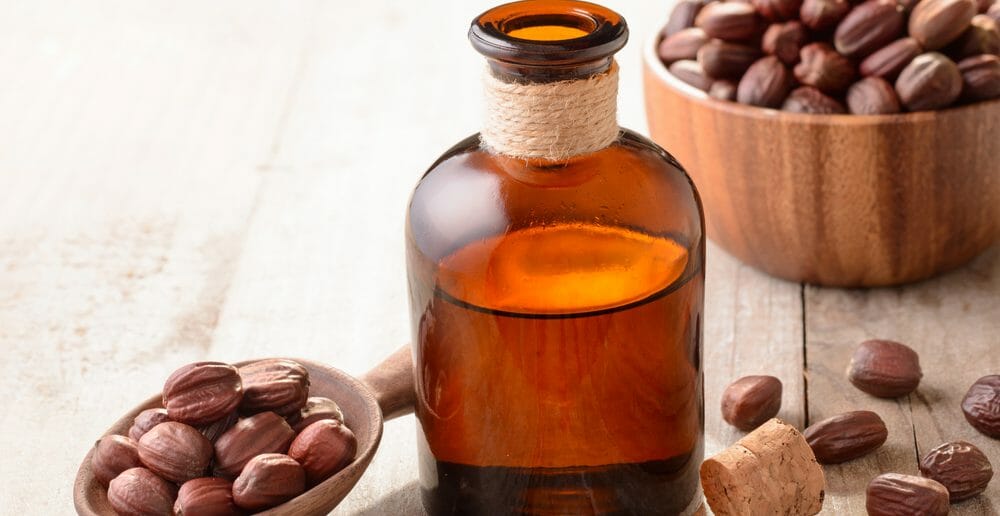 Huile de jojoba : quels bienfaits sur les vergetures de grossesse