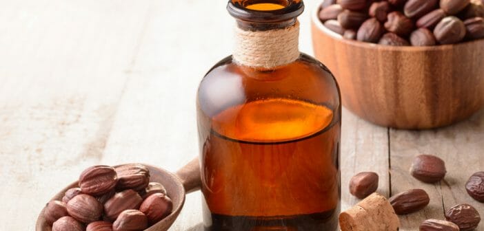 Huile de jojoba : quels bienfaits sur les vergetures de grossesse