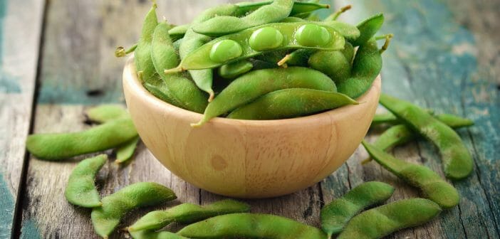 L'edamame fait-il grossir