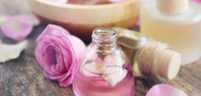 L'huile de rose musquée, des bienfaits sur les vergetures