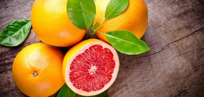 La peau de pamplemousse pour maigrir ?