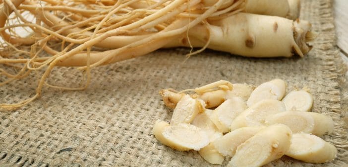 Le ginseng fait-il grossir