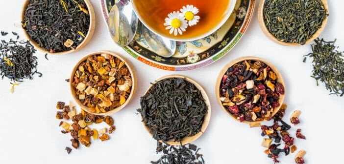 Quand boire du thé pour maigrir