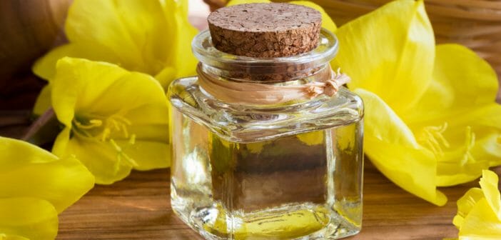 Objectif peau lisse : l'huile d'onagre contre la cellulite ?