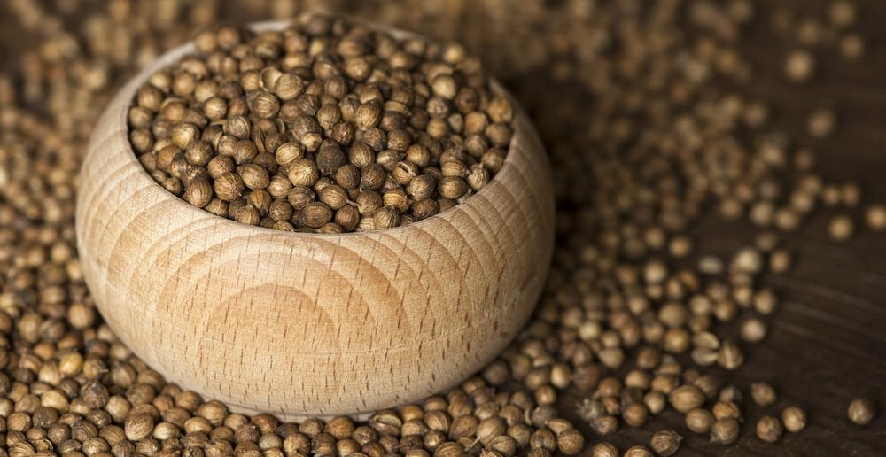 Combien de calories dans les graines de coriandre ?