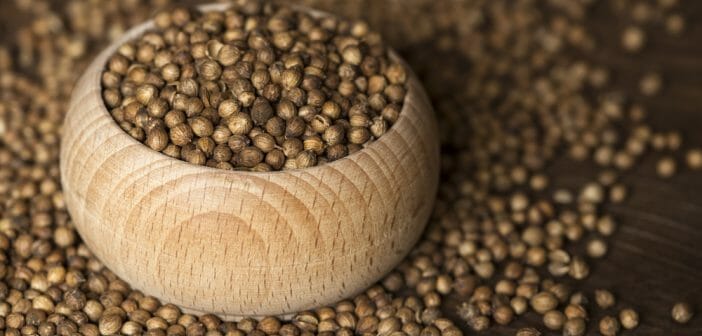 Combien de calories dans les graines de coriandre ?