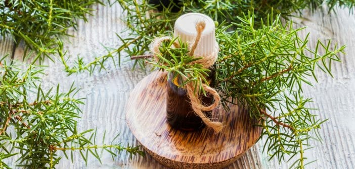 Contre les varices et les pieds gonflés, utilisez les huiles essentielles !