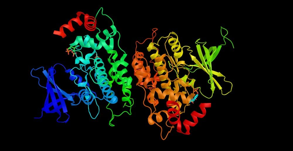Dans quels aliments trouver le glycogène