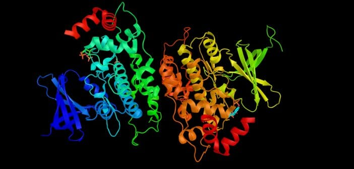 Dans quels aliments trouver le glycogène