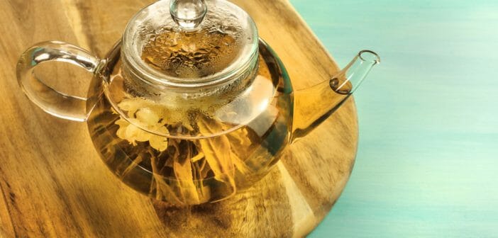 Infusion et décoction : quelles différences