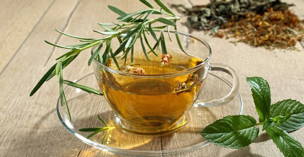 Infusion, thé, tisane : quelles différences ?
