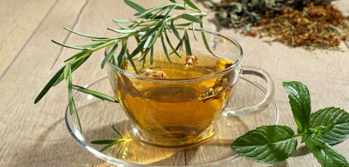 Infusion, thé, tisane : quelles différences ?