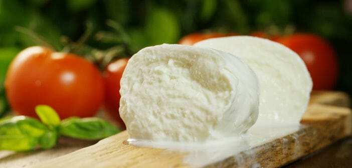La mozzarella di bufala : idéale pendant un régime