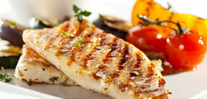 La protéine de poisson : parfaite pour booster sa musculation ?