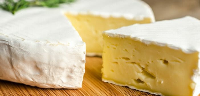 Le coulommiers : un fromage riche en calories ?