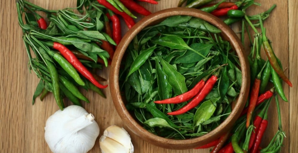 Le piment oiseau fait-il maigrir