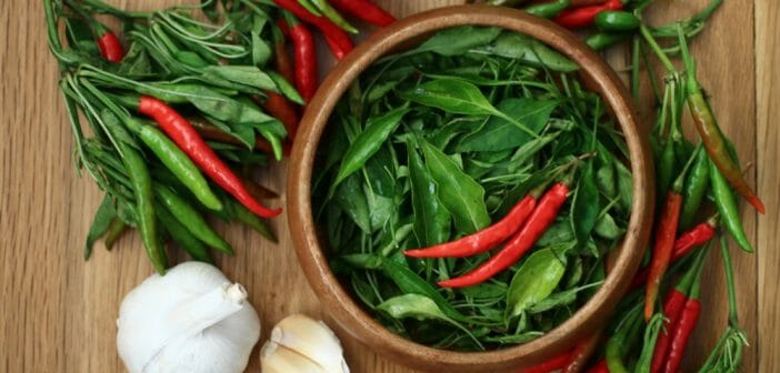 Le piment oiseau fait-il maigrir