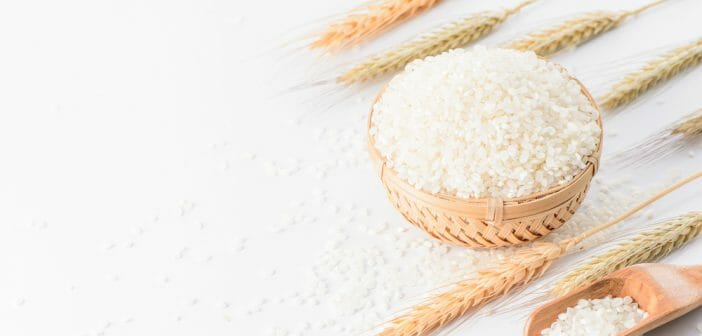 Le riz rond fait-il grossir ?