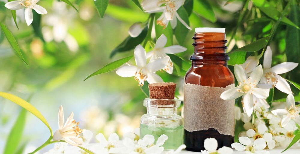 leau-de-fleur-doranger-quels-bienfaits-sur-notre-digestion