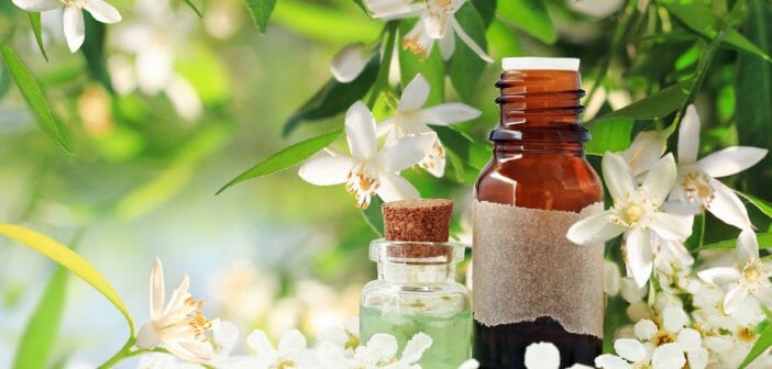 leau-de-fleur-doranger-quels-bienfaits-sur-notre-digestion