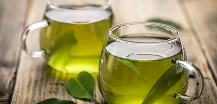 les-bienfaits-du-the-vert-pour-le-sport