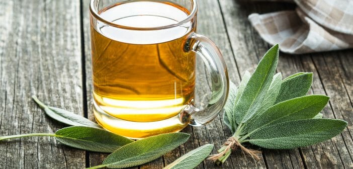 Maigrir avec les infusions