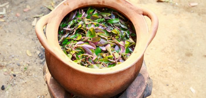 Quelles sont les décoctions spécial ventre plat