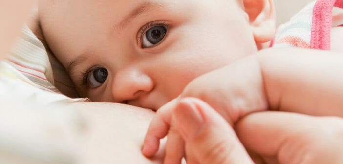 Allaitement et homéopathie