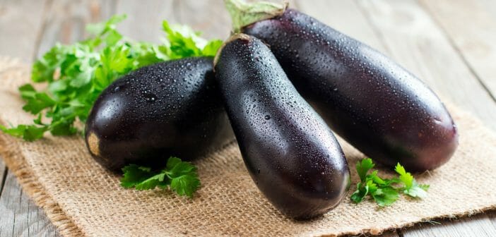 aubergine-crue-pour-maigrir