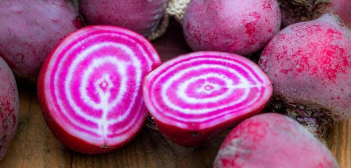 bienfaits-et-calories-de-la-betterave-de-chioggia