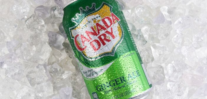 Combien de calories dans le Canada Dry ?