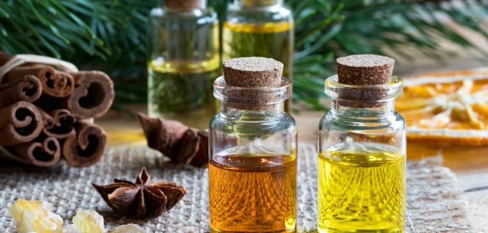 L'huile de cannelle : une alliée ventre plat ?