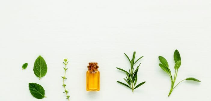 L'huile essentielle de palmarosa a-t-elle des bienfaits minceur