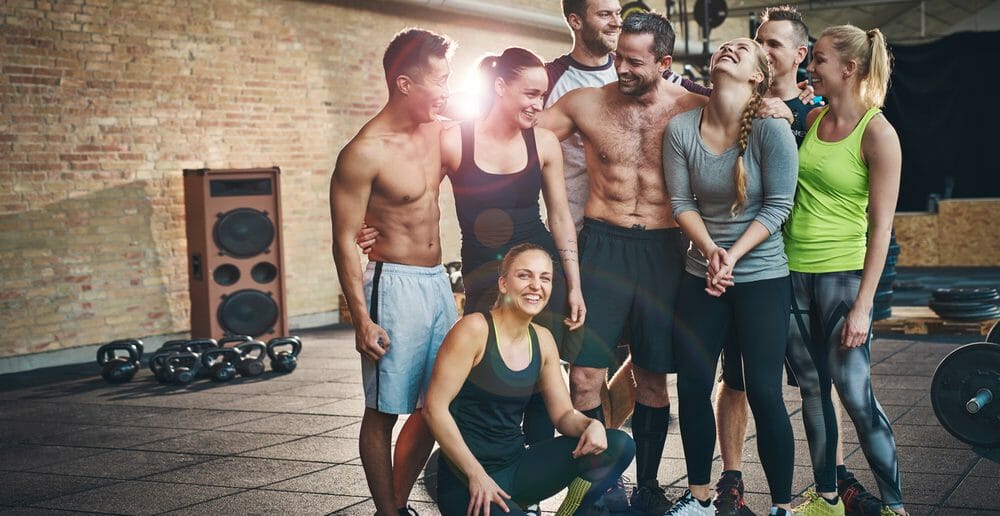 La graisse peut-elle devenir du muscle ?