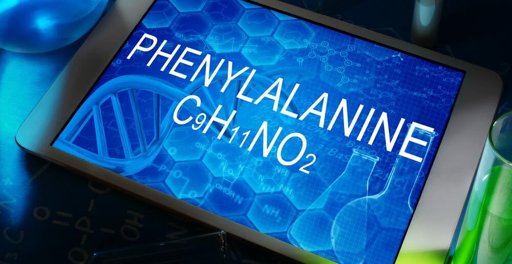 La phenylalanine : des effets coupe faim