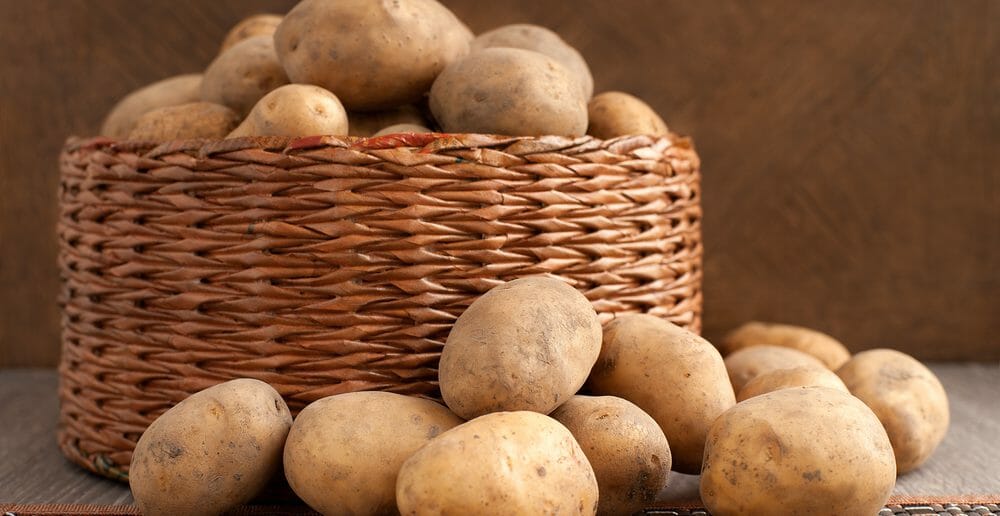 La pomme de terre crue, vraiment indigeste