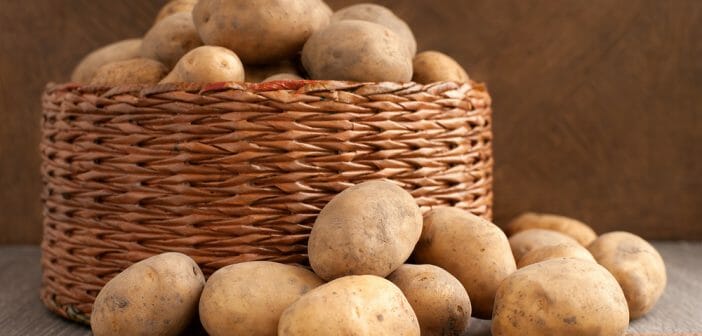 La pomme de terre crue, vraiment indigeste