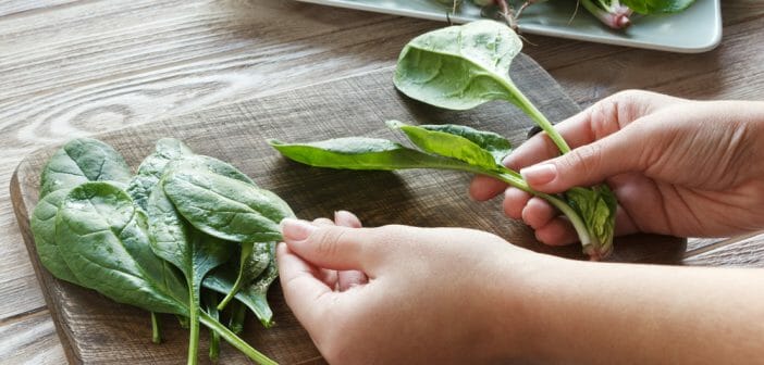 Les épinards crus : des bienfaits sur la digestion