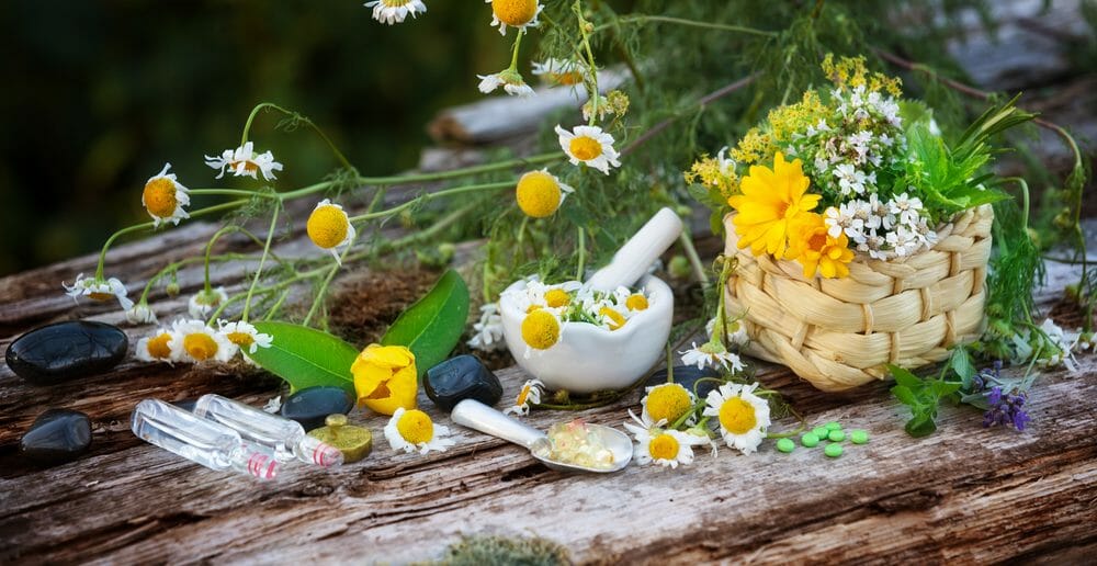 Les fleurs de Bach ont-elles des vertus contre les bouffées de chaleur