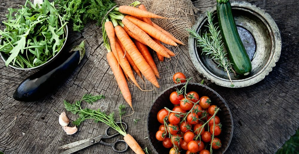 Liste des aliments autorisés dans le régime Montignac