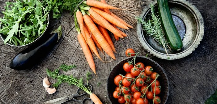 Liste des aliments autorisés dans le régime Montignac