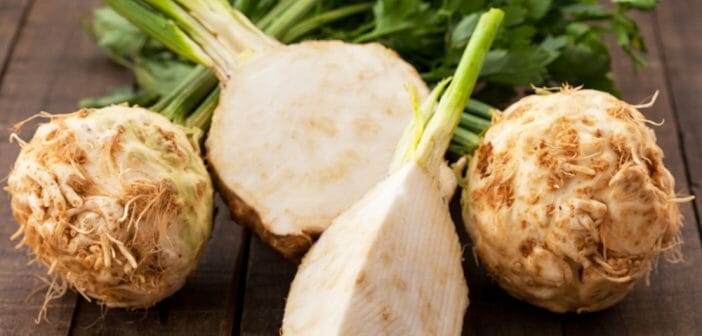 Quels sont les bienfaits du céleri rave cru