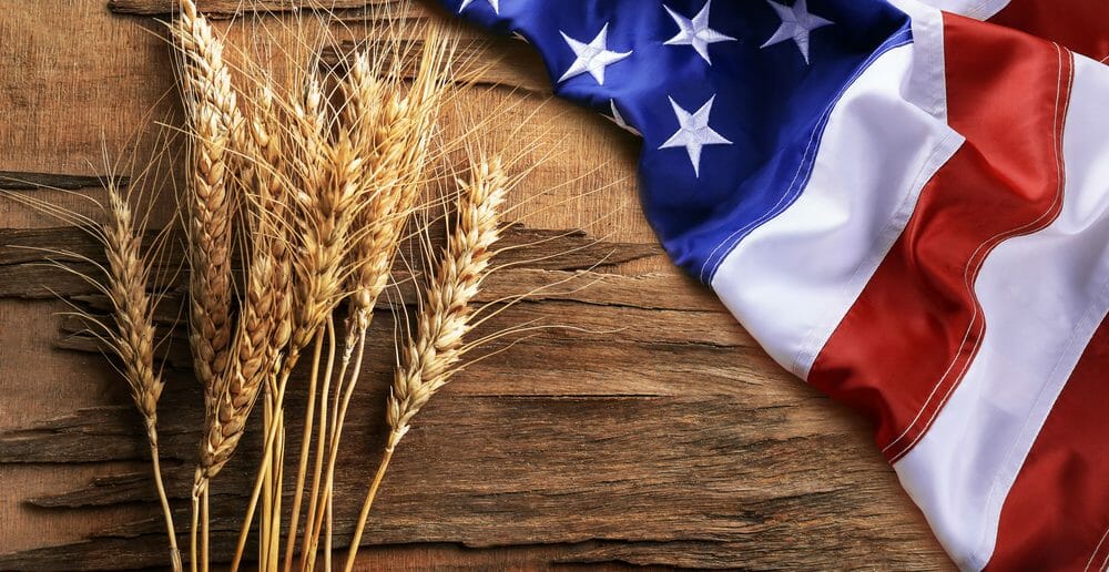 3-jours-de-regime-americain