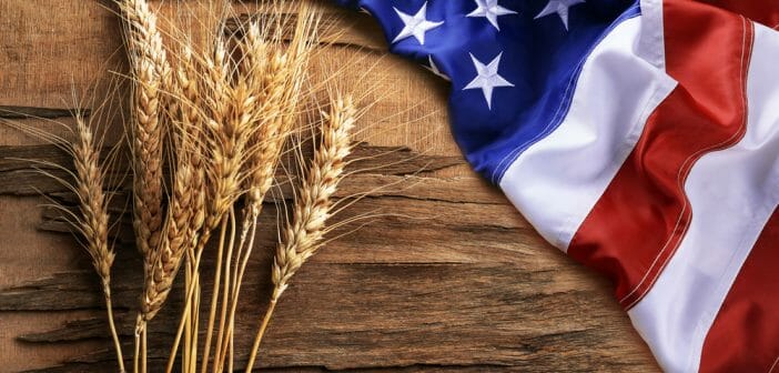 3-jours-de-regime-americain