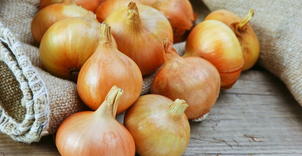 Combien de calories dans l'oignon jaune