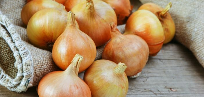 Combien de calories dans l'oignon jaune